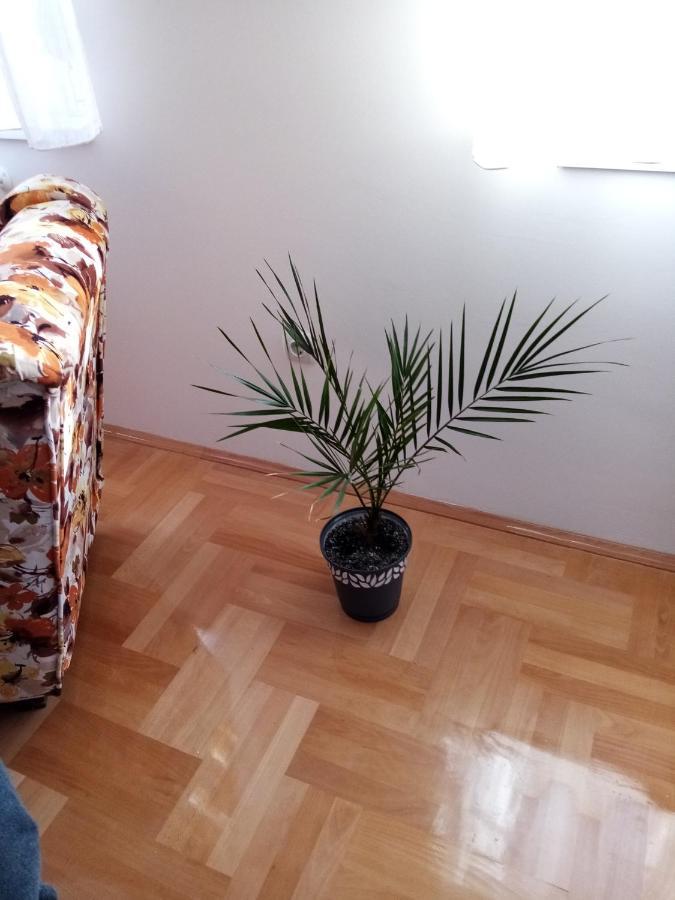 Apartman Maca Пирот Экстерьер фото