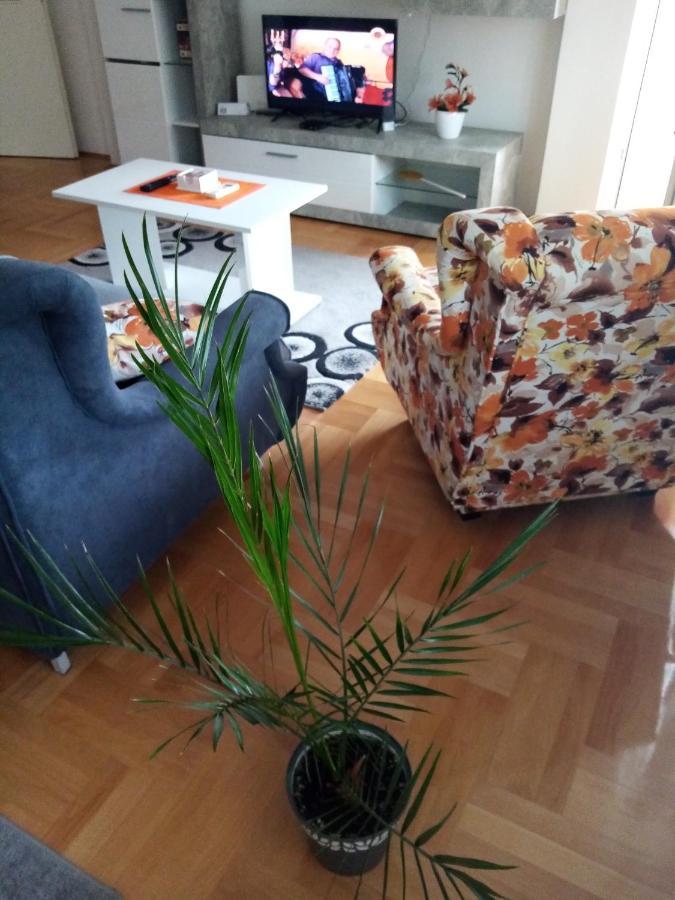 Apartman Maca Пирот Экстерьер фото