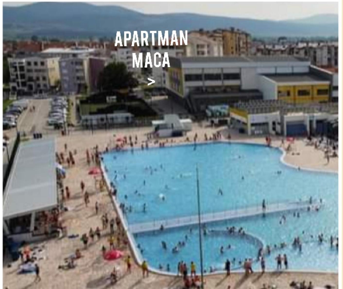 Apartman Maca Пирот Экстерьер фото