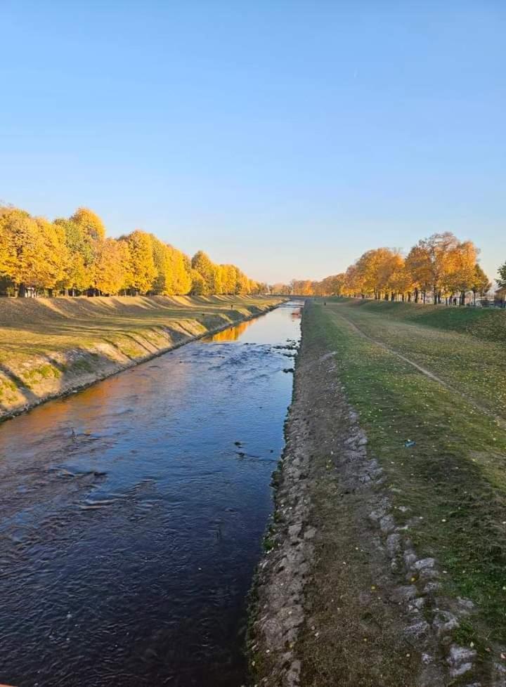 Apartman Maca Пирот Экстерьер фото